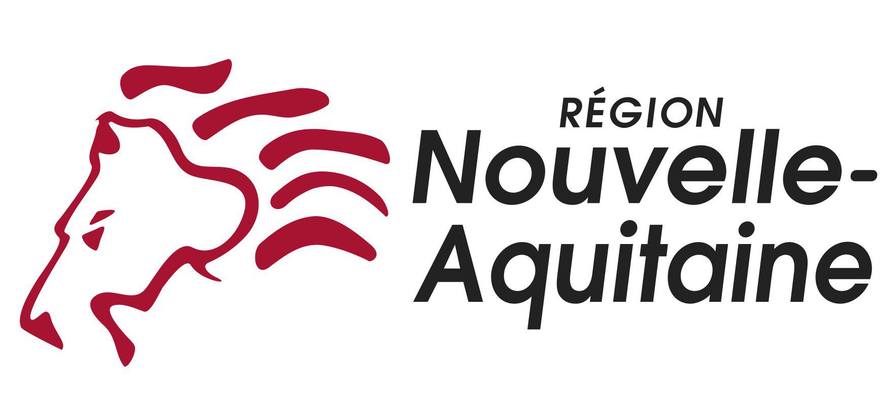 Logo  REGION